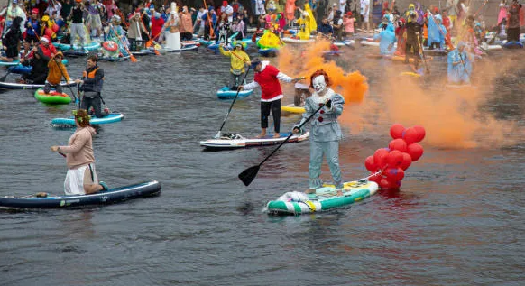 Paddle safari service presentation with gear near bay shoreline